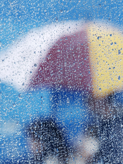 umbrella, glass, rain