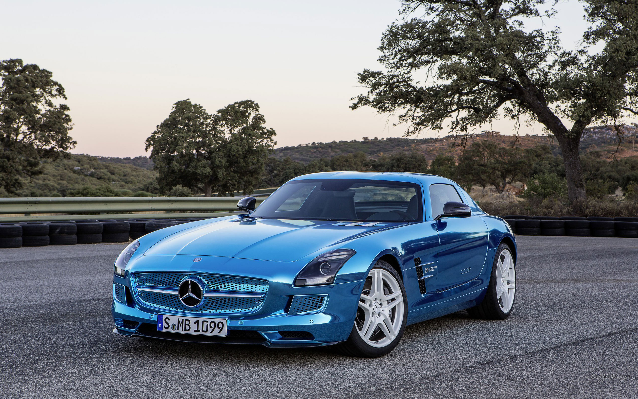 electrcic drive, mercedes, amg, coupe, sls