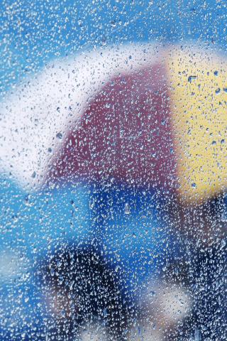 umbrella, glass, rain