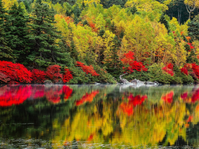 природа, осень, пейзаж, деревья, озеро
