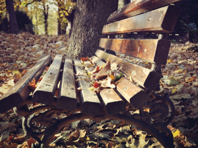 листья, скамейка, лавочка, осень, боке