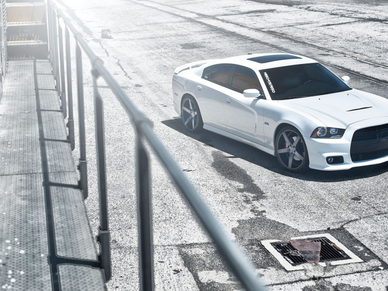 white, charger, dodge