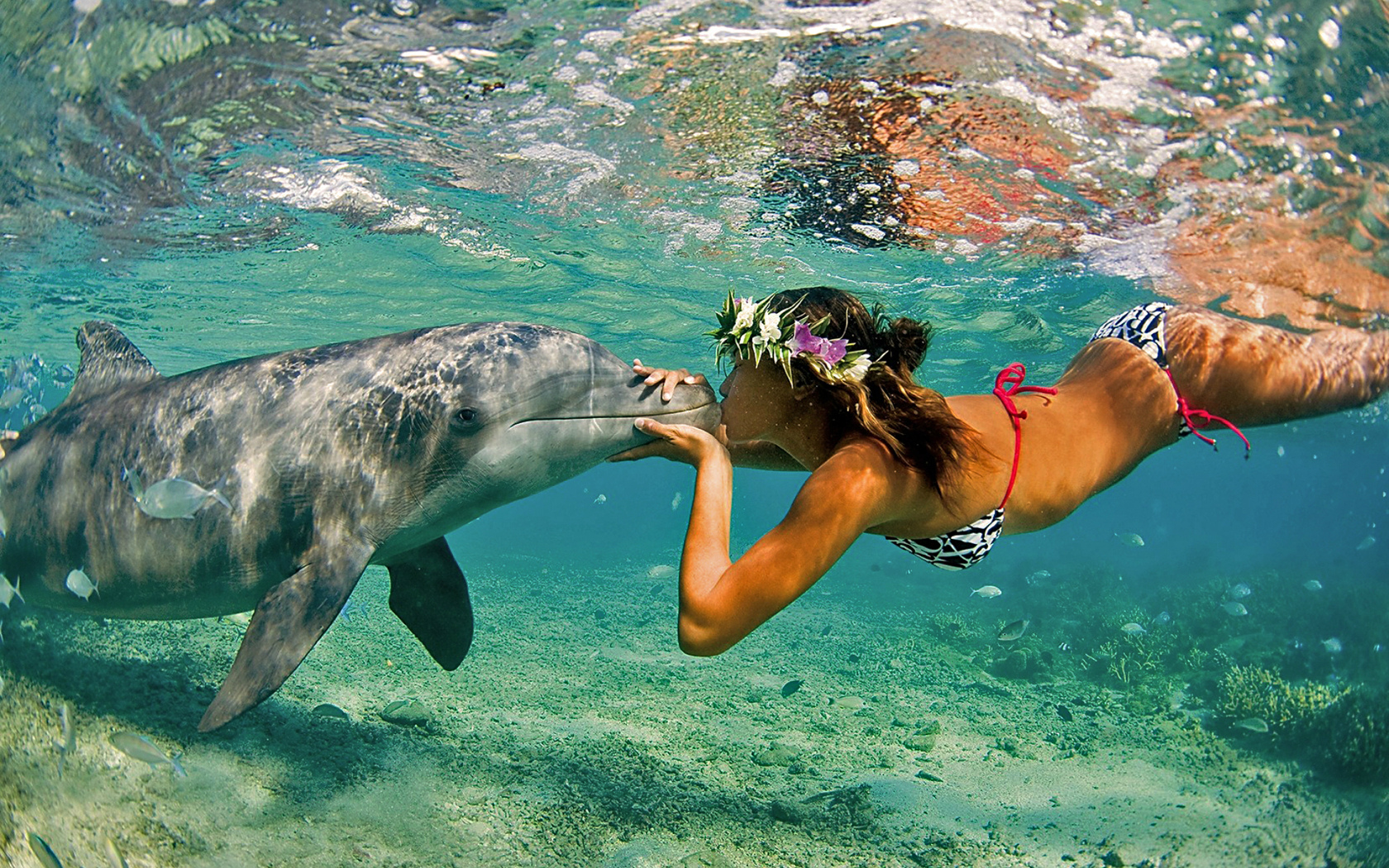 природа, море, девушка, дельфин, океан