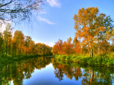 лес, осень, река, природа