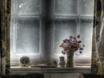 окно, цветы, часы
