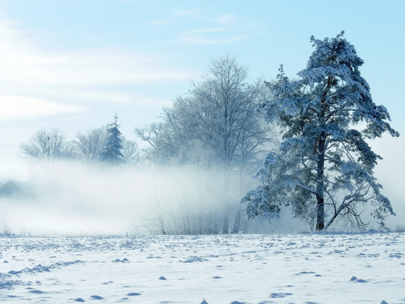 winter, зима, снег, природа, пейзаж