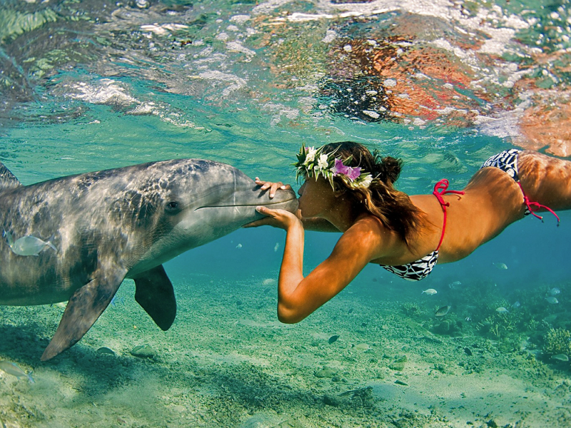 природа, море, девушка, дельфин, океан