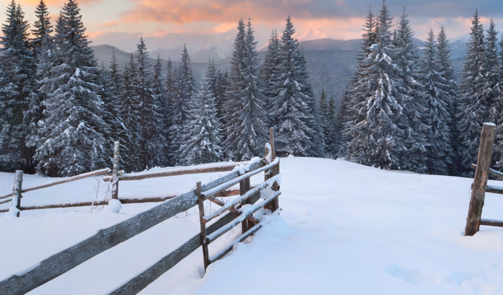 landscapes, снег, зима, пейзажи, snow, природа, winter, nature