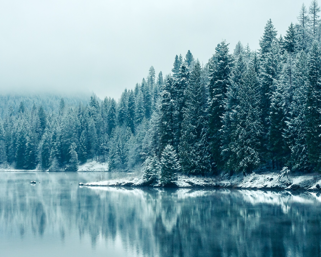 лес, Британская Колумбия, зима, отражения, снегопада, British Columbia, reflections, природа, озера, Snowfall, деревья, forest, winter, trees, nature, lakes