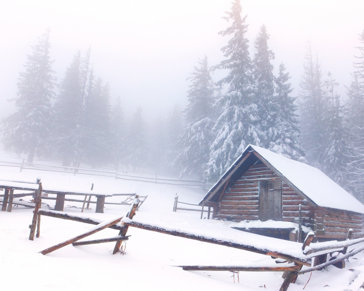 снег пейзажи, салон, снег, snow landscapes, pine trees, cabin, snow, сосновые деревья