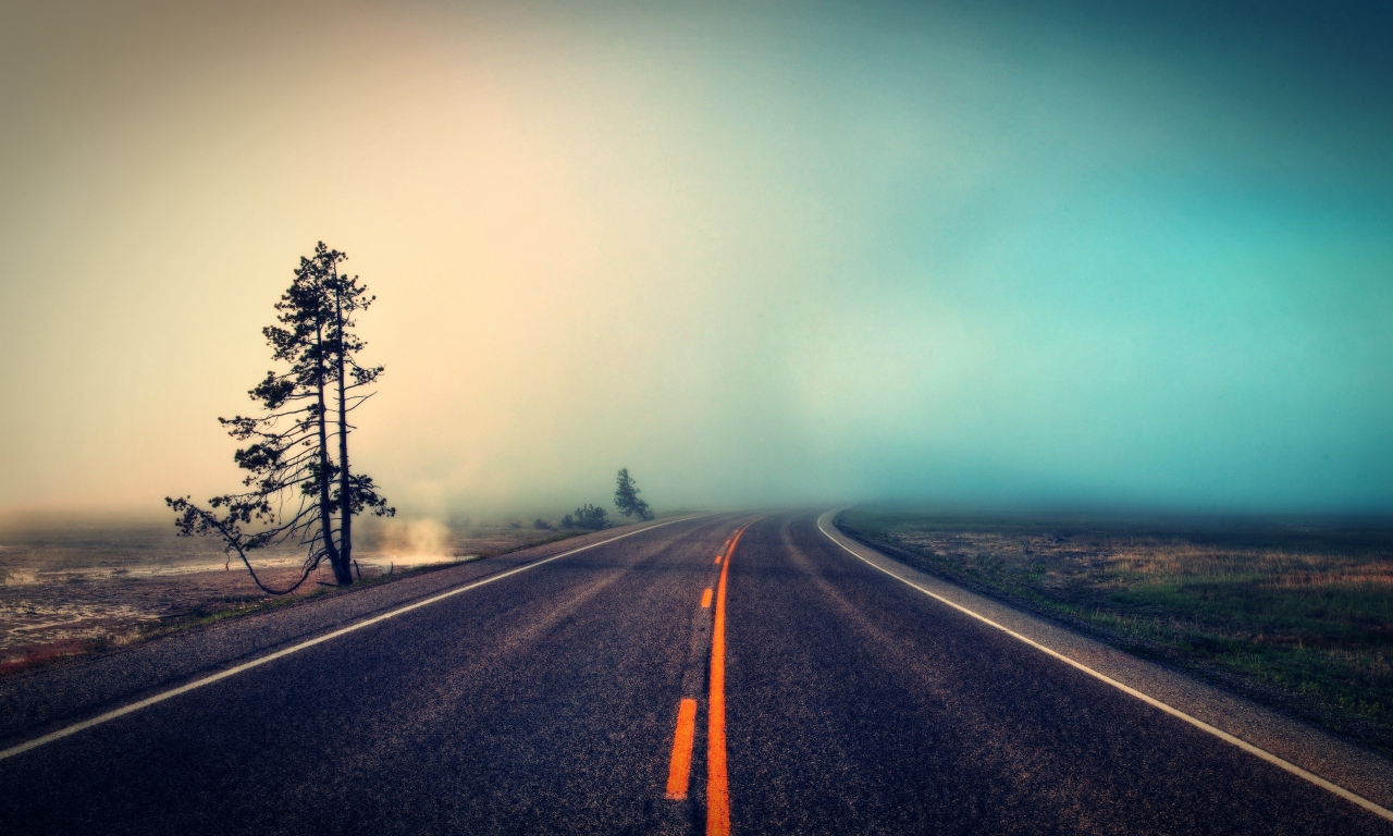 roads, ambiant, trees, Ambiant, деревья, туман, дороги, fog