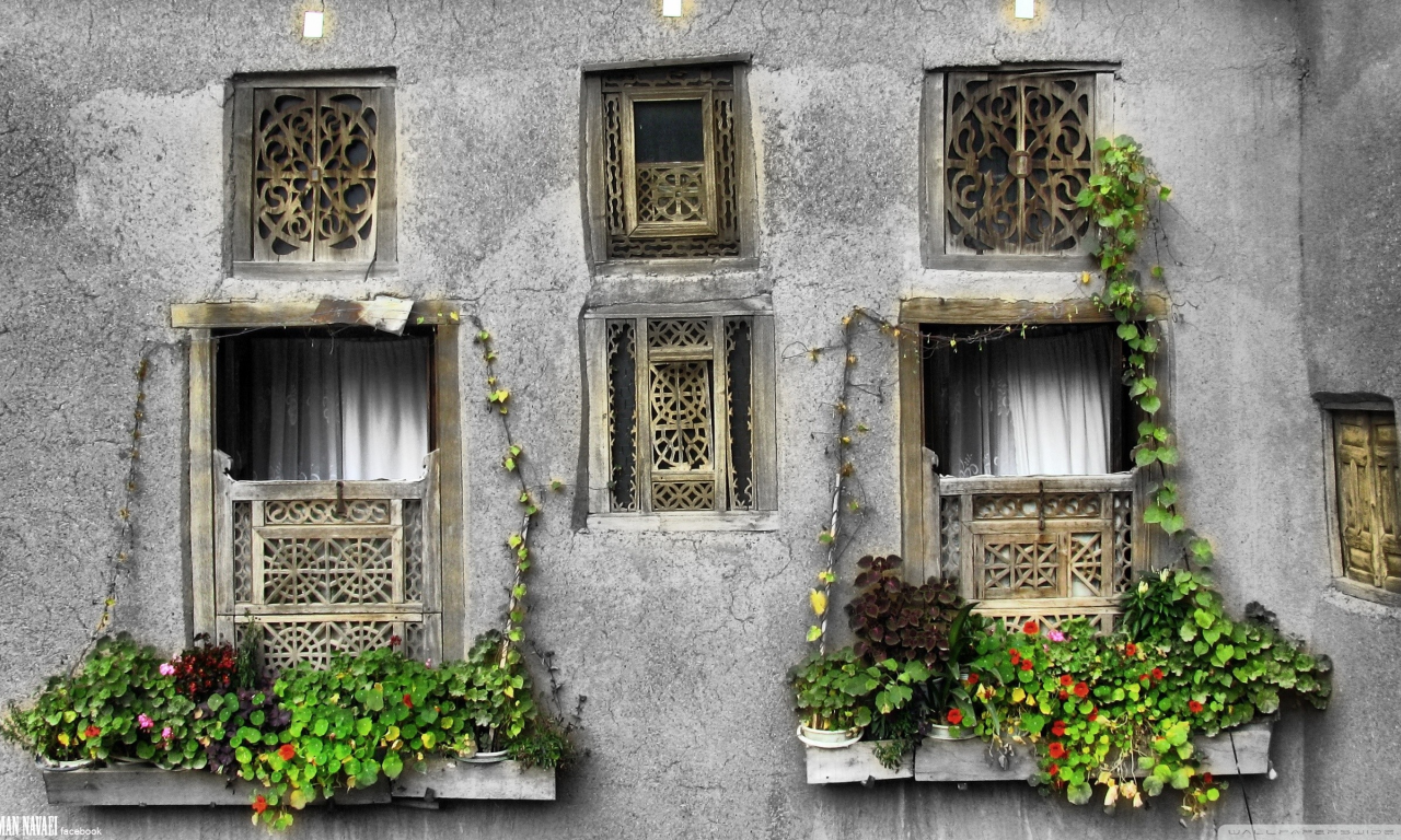окна, Iran, Иран, windows