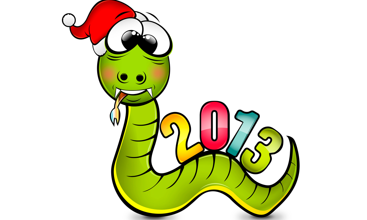 год змеи, с новым годом, 2013