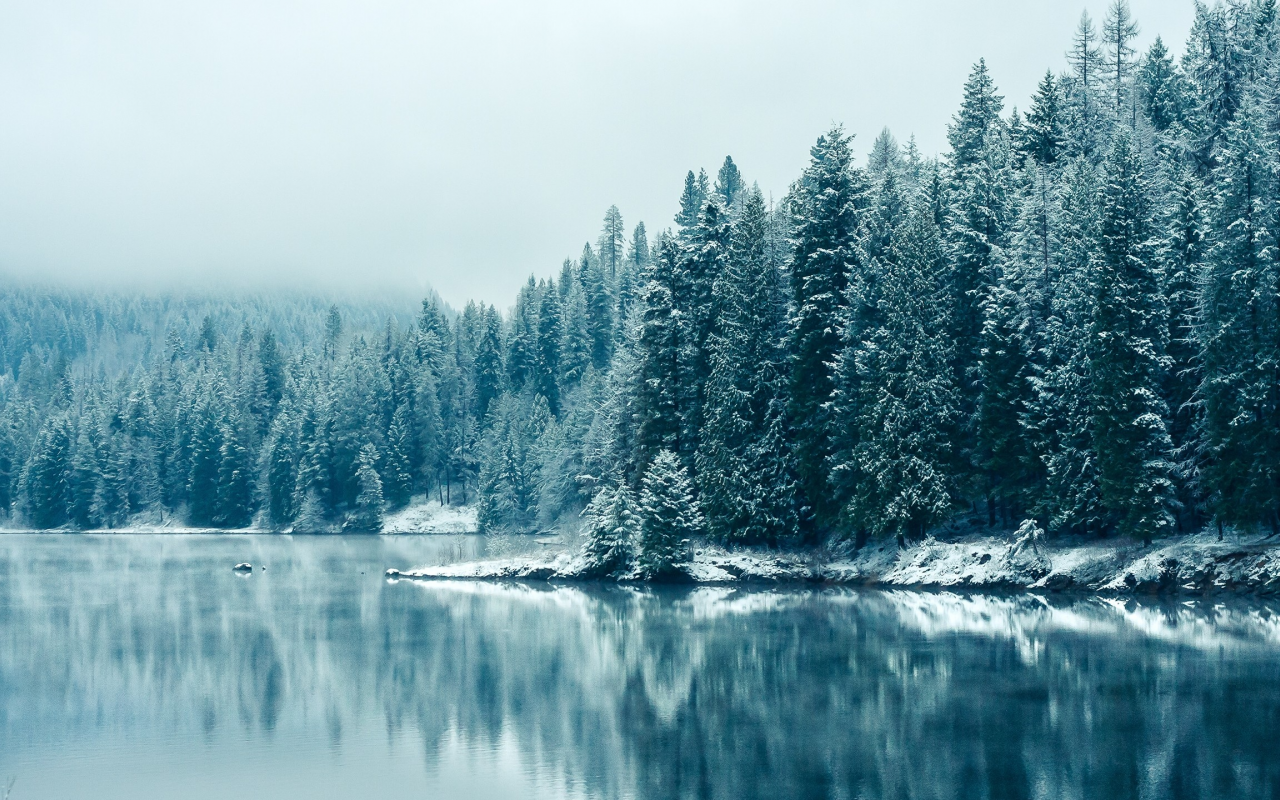 лес, Британская Колумбия, зима, отражения, снегопада, British Columbia, reflections, природа, озера, Snowfall, деревья, forest, winter, trees, nature, lakes