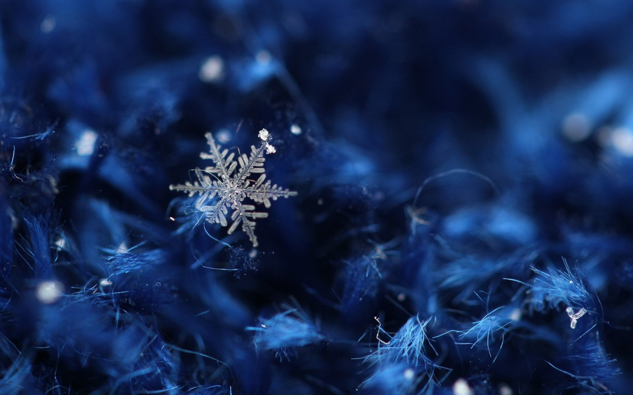 ice crystals, ледяные кристаллы, Зима, снег, snow, winter