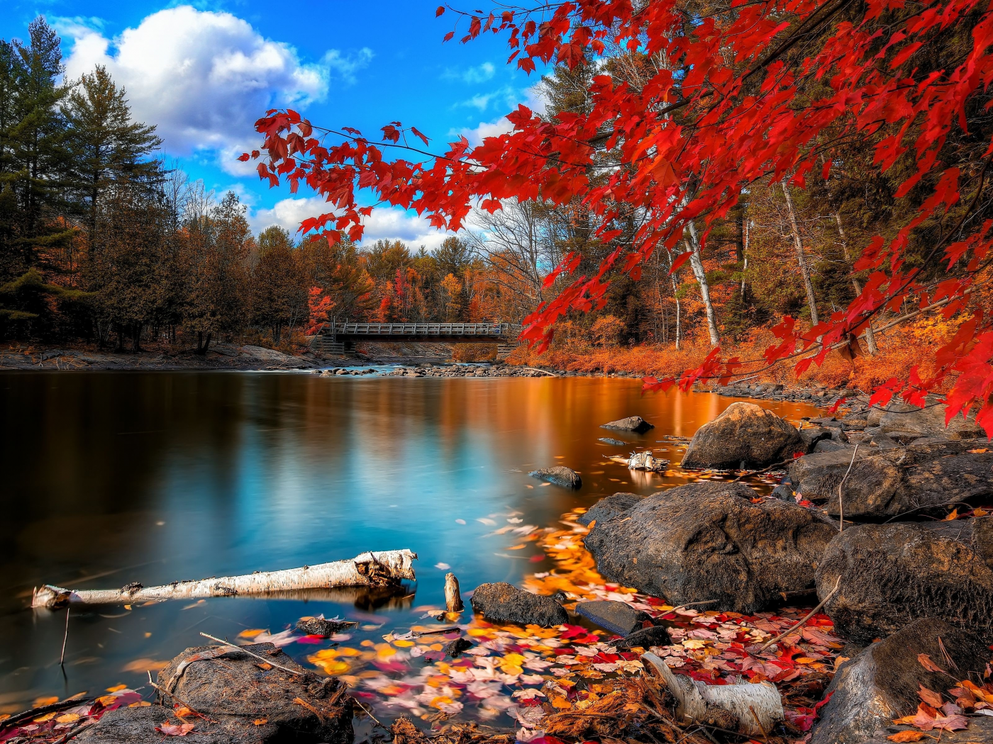 autumn (season), lakes, Осенью ( сезона), озерах