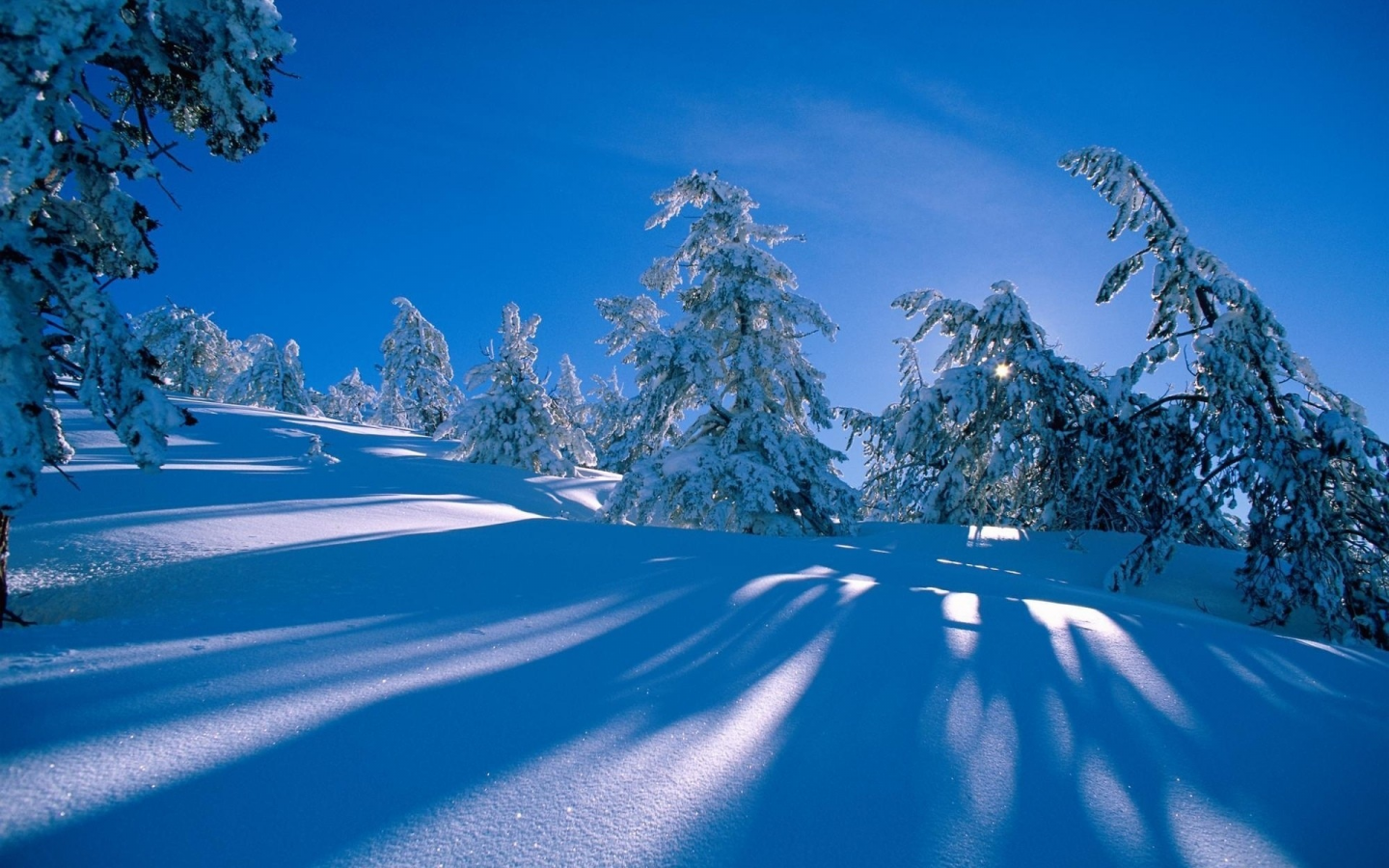 снег, природа, nature, winter, зима, landscapes, пейзажи, snow