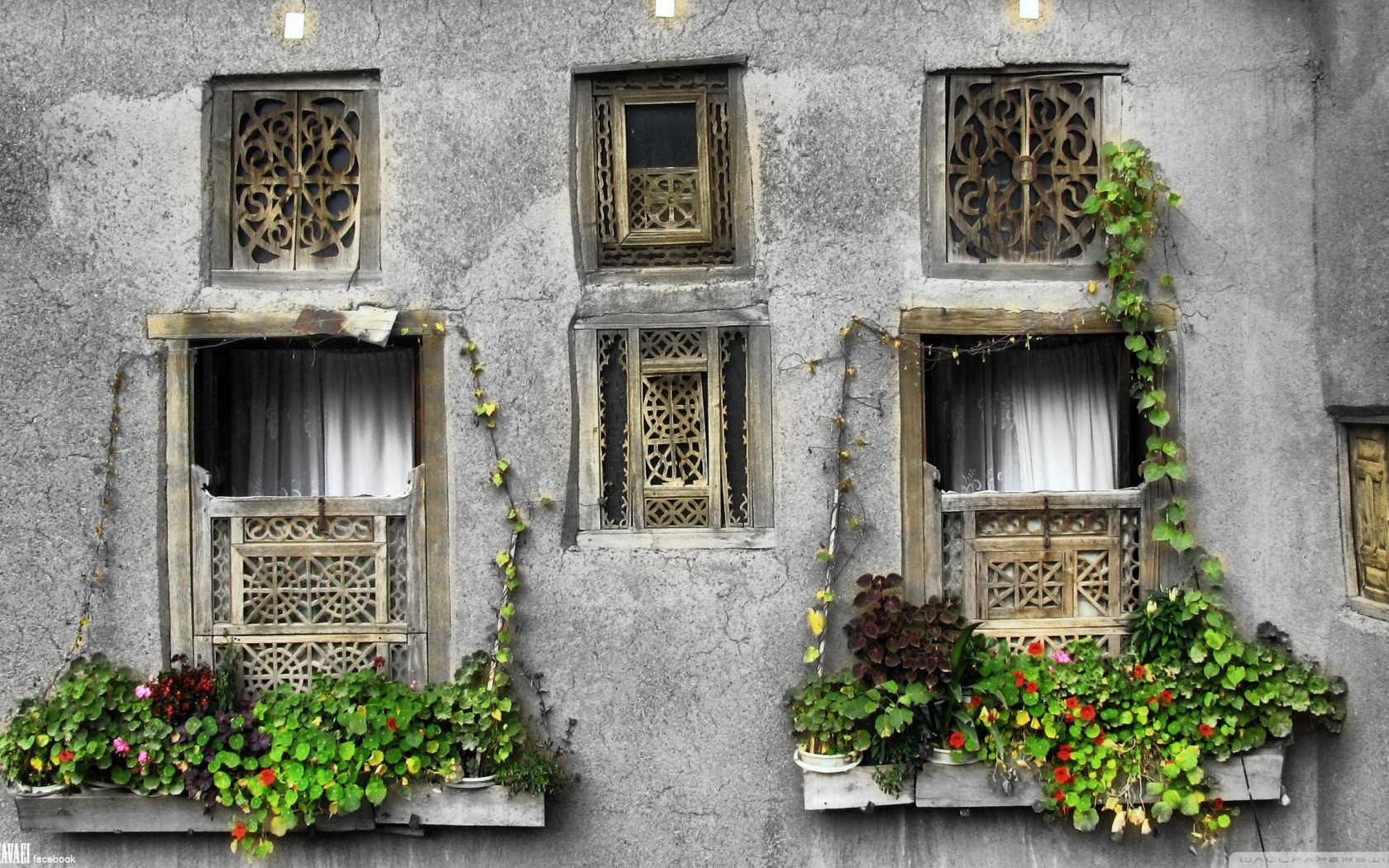 окна, Iran, Иран, windows