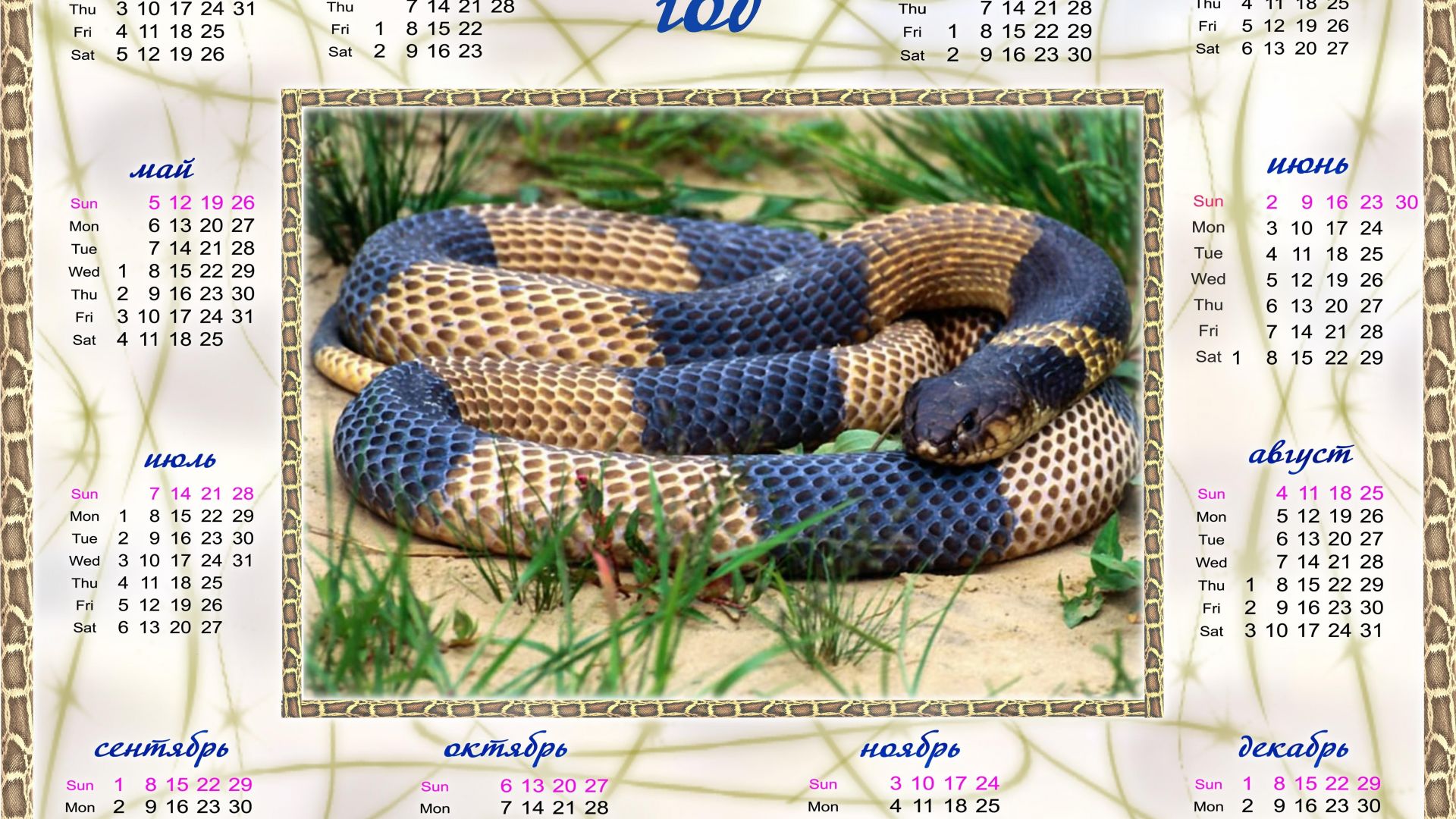 2013, календарь, год змеи, змея