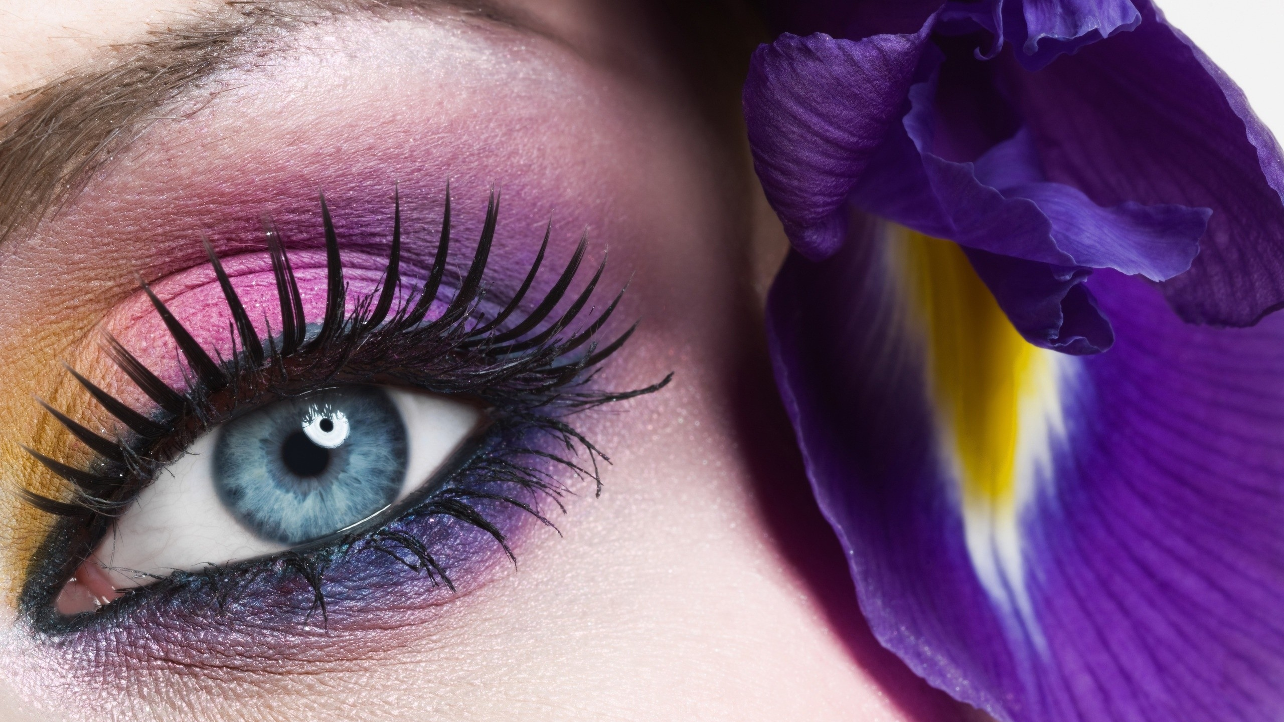 цветы, purple eyes, цвета, flowers, крупный план, розовые, purple hair, colors, голубые глаза, фиолетовые глаза, blue eyes, macro, pink, фиолетовые волосы, макро, close-up, eyes, глаза