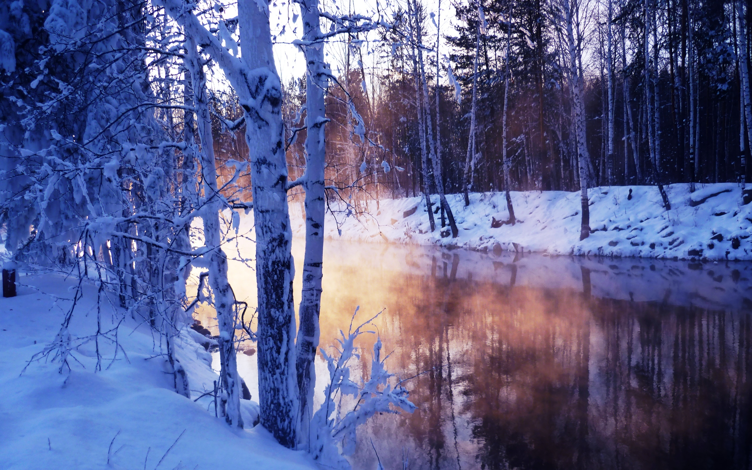 красота, природа, зима
