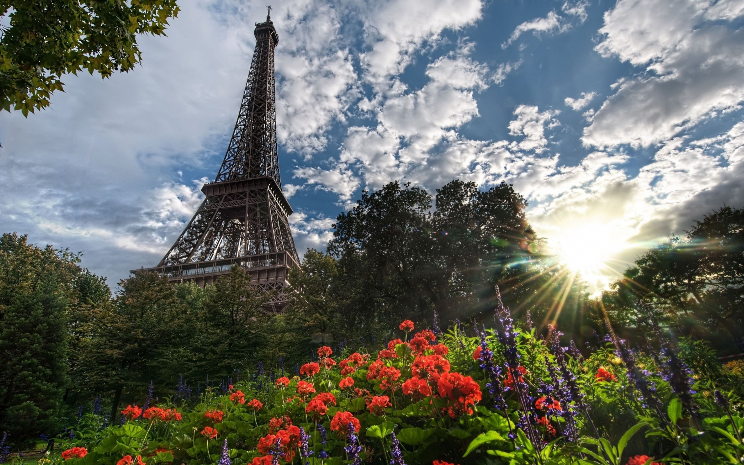 flowers, природа, skies, Эйфелева башня, города, Eiffel Tower, деревья, Paris, France, trees, nature, цветы, небо, cities, Франции, Париж
