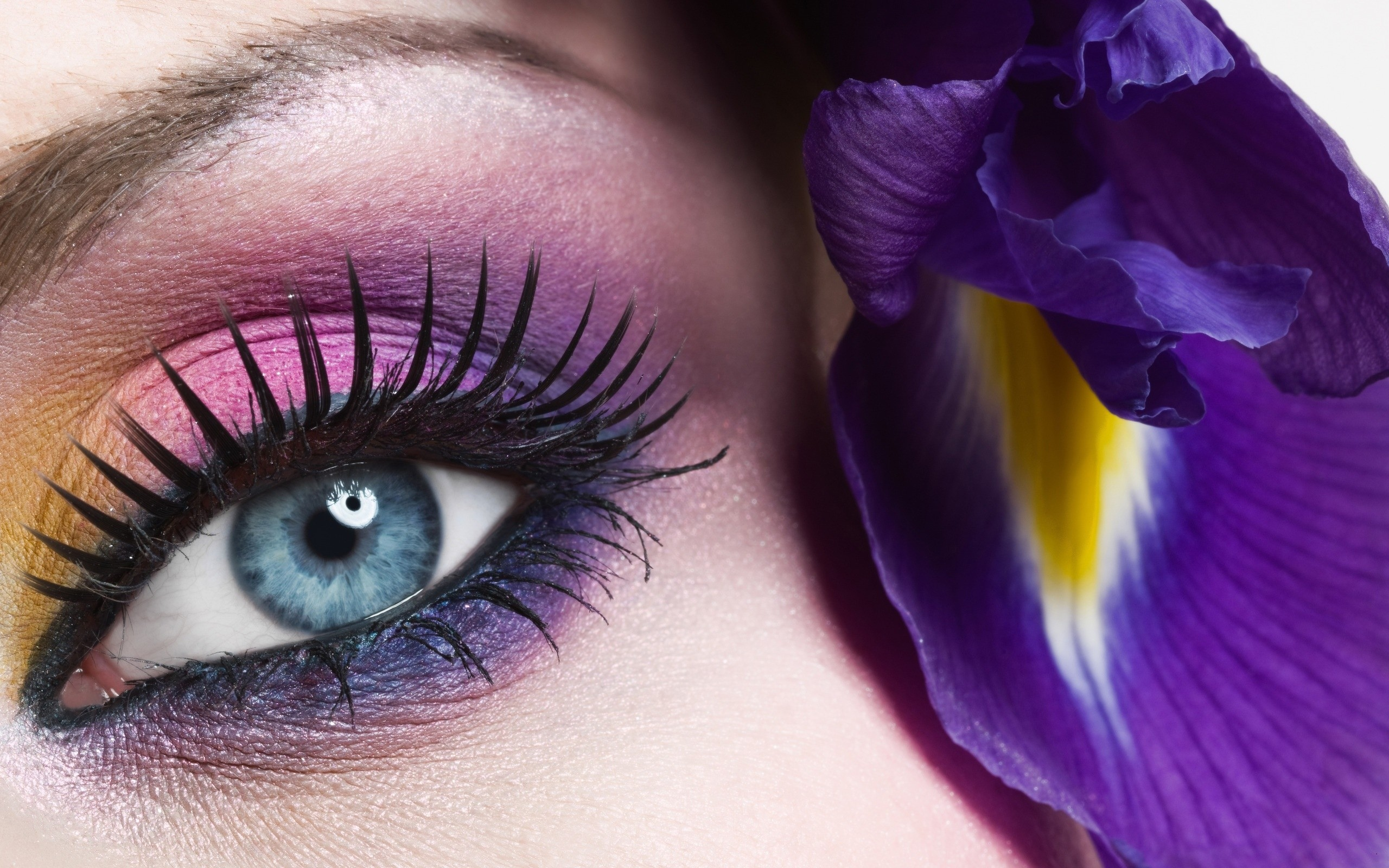 цветы, purple eyes, цвета, flowers, крупный план, розовые, purple hair, colors, голубые глаза, фиолетовые глаза, blue eyes, macro, pink, фиолетовые волосы, макро, close-up, eyes, глаза