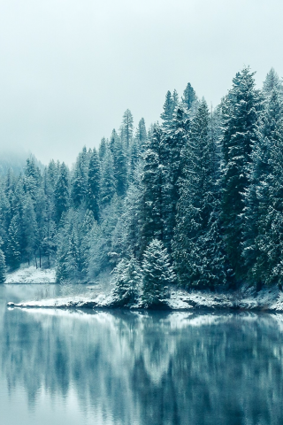 лес, Британская Колумбия, зима, отражения, снегопада, British Columbia, reflections, природа, озера, Snowfall, деревья, forest, winter, trees, nature, lakes