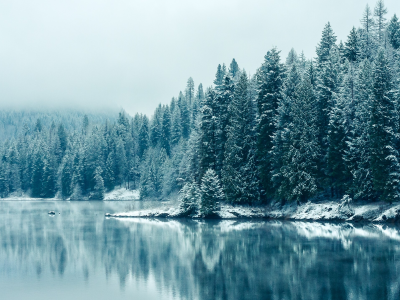 лес, Британская Колумбия, зима, отражения, снегопада, British Columbia, reflections, природа, озера, Snowfall, деревья, forest, winter, trees, nature, lakes