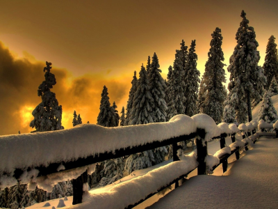 winter, зима, снег, лед, fences, заборы, snow, ice