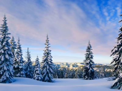 горы, trees, пейзажи, зима, nature, деревья, landscapes, природа, снег, mountains, winter, snow