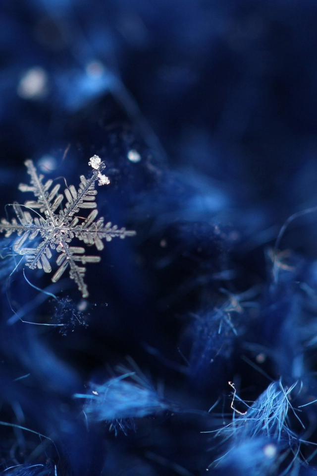 ice crystals, ледяные кристаллы, Зима, снег, snow, winter