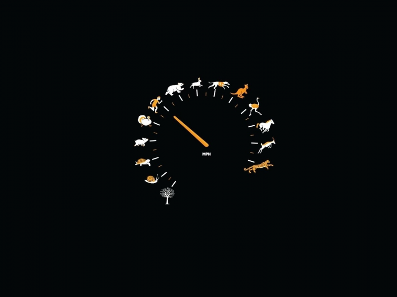 , minimalistic, speedometer