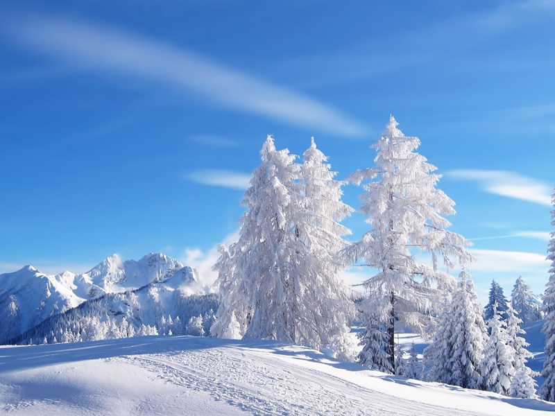 blue skies, tracks, snow, mountains, , trees