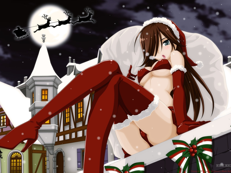 Queens blade, anime, anime girls, Christmas, 