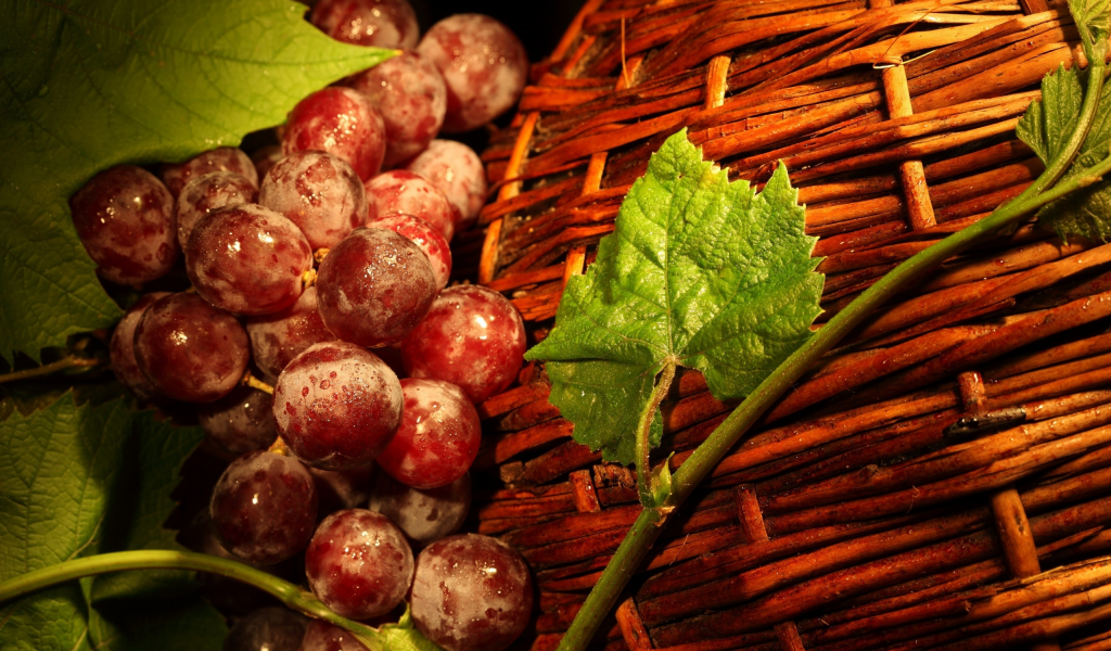 fruits, baskets, 