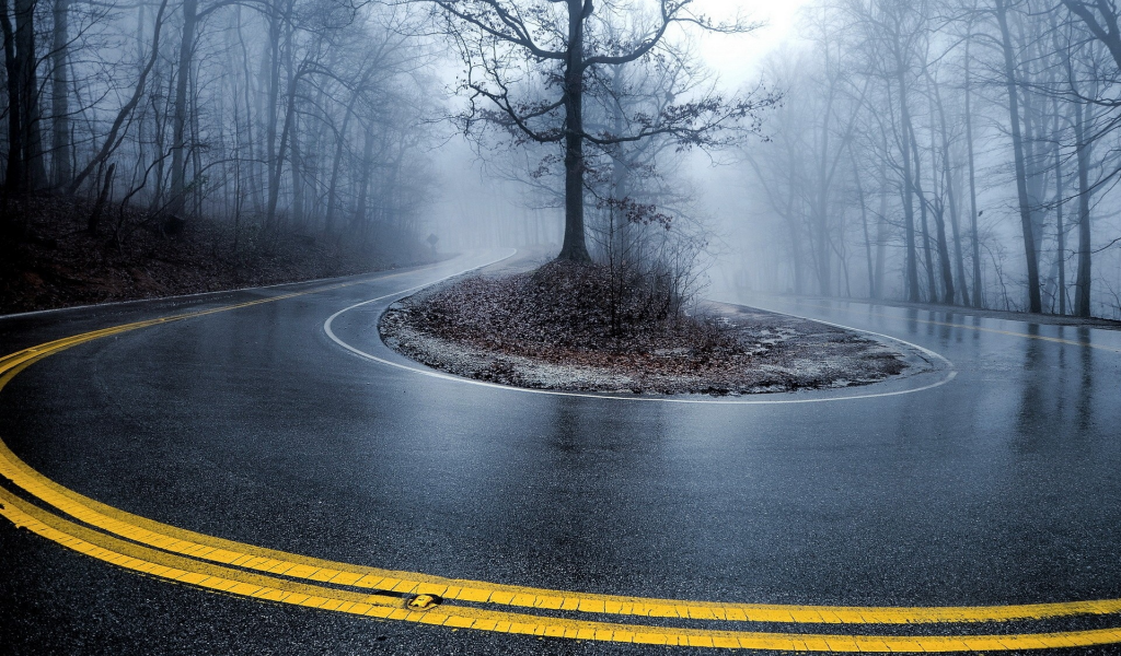 turn, roads, mist, , roadside