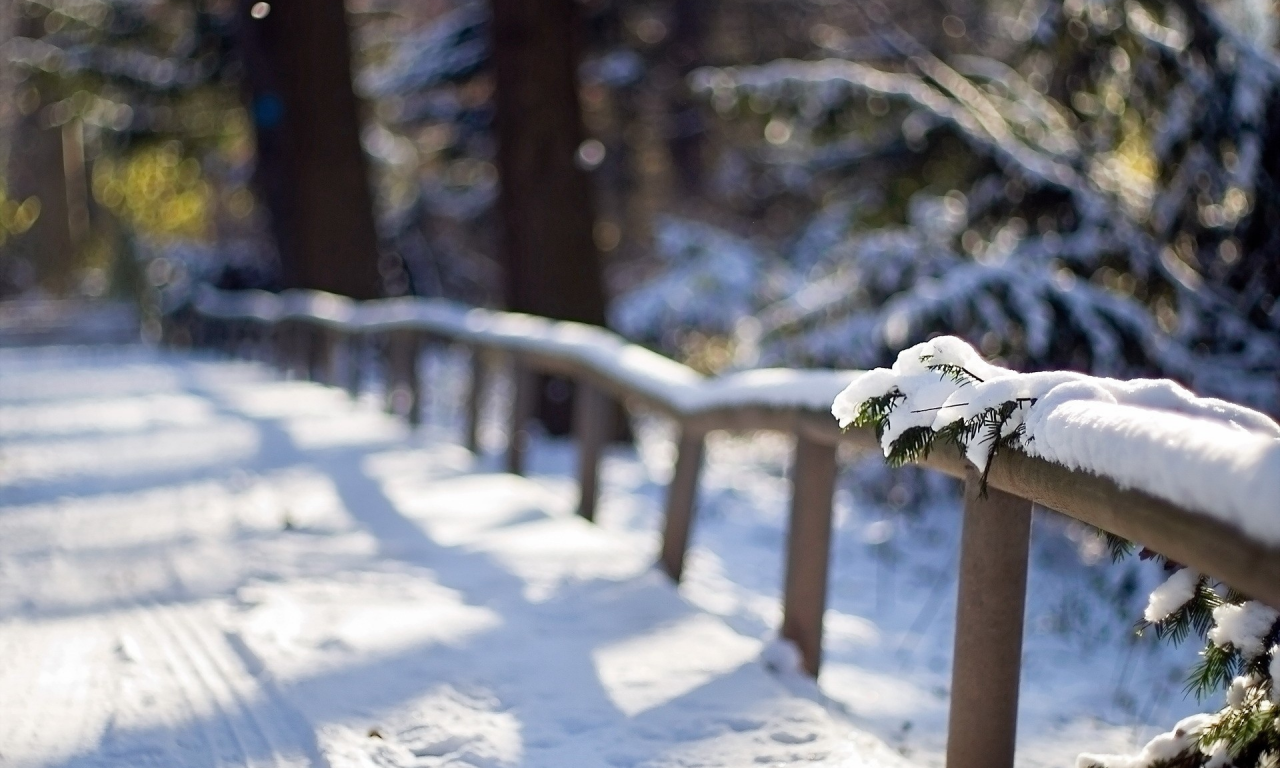 fences, , snow, path