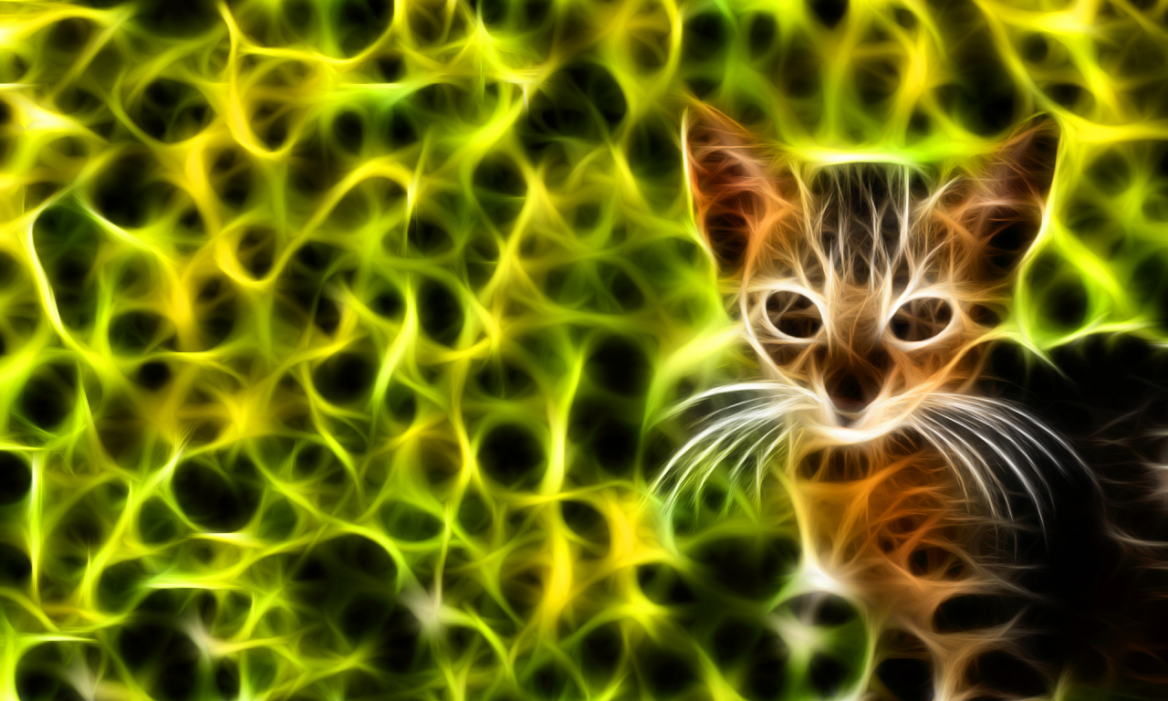 , kittens, feline, cats, fractalius, green, fractal