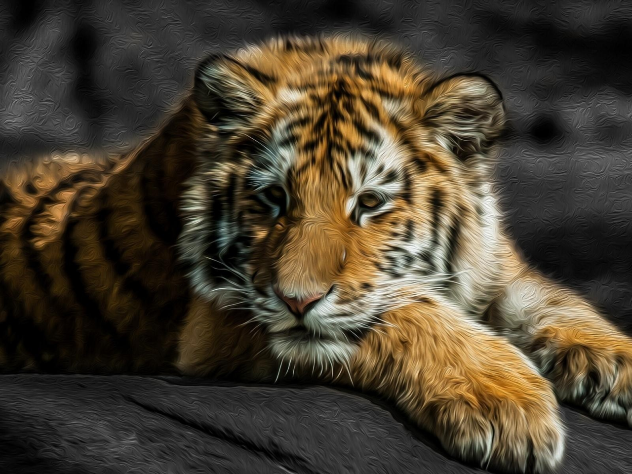 animals, tigers, stripes, животные, fur, big cats, большие кошки, мех, цвета брызги, color splash, полосы, тигры