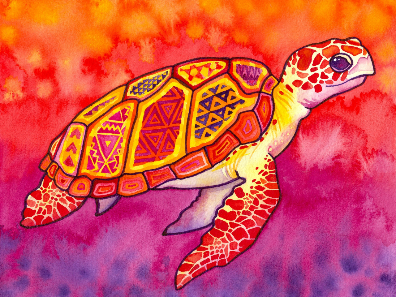 patterns, акварель, paintings, turtles, узоры, абстрактное, sea turtles, черепахи, watercolor, морские черепахи, многоцветная, abstract, multicolor, картины