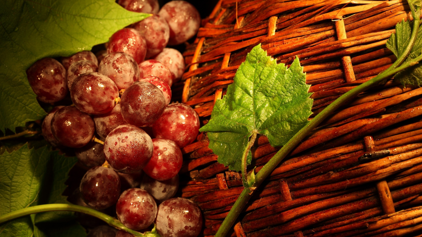 fruits, baskets, 