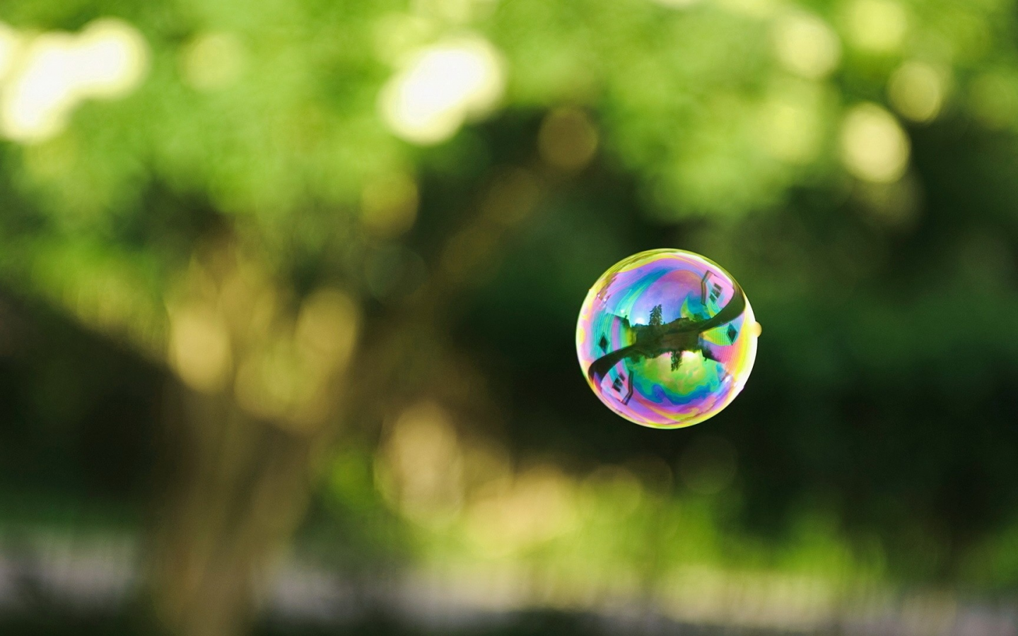 macro, bubbles, bokeh, макро, nature, пузыри, боке, природа