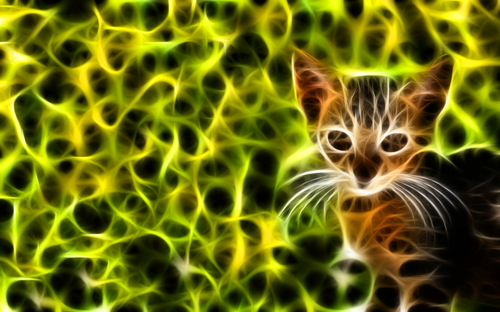 , kittens, feline, cats, fractalius, green, fractal