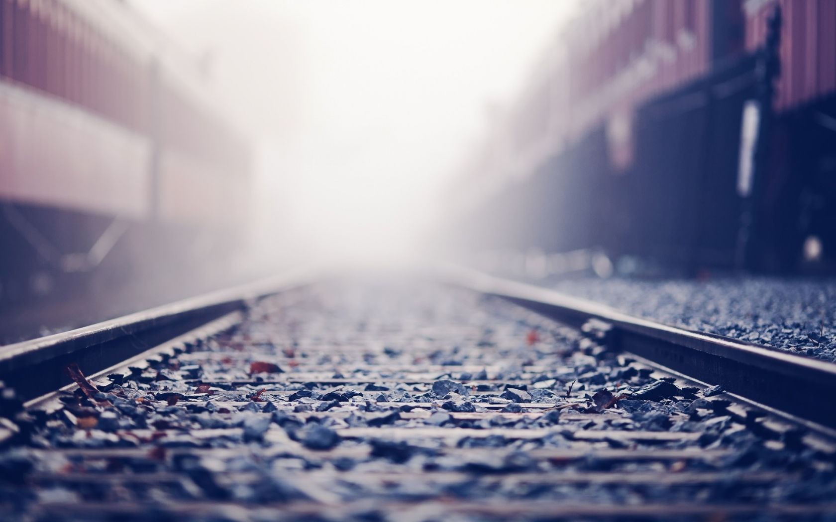 bokeh, боке, sunlight, поезда, рельсы, камни, railroad tracks, stones, солнечный свет, depth of field, глубина резкости, trains