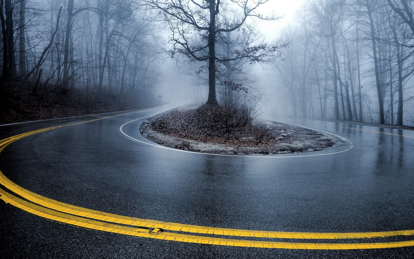 turn, roads, mist, , roadside