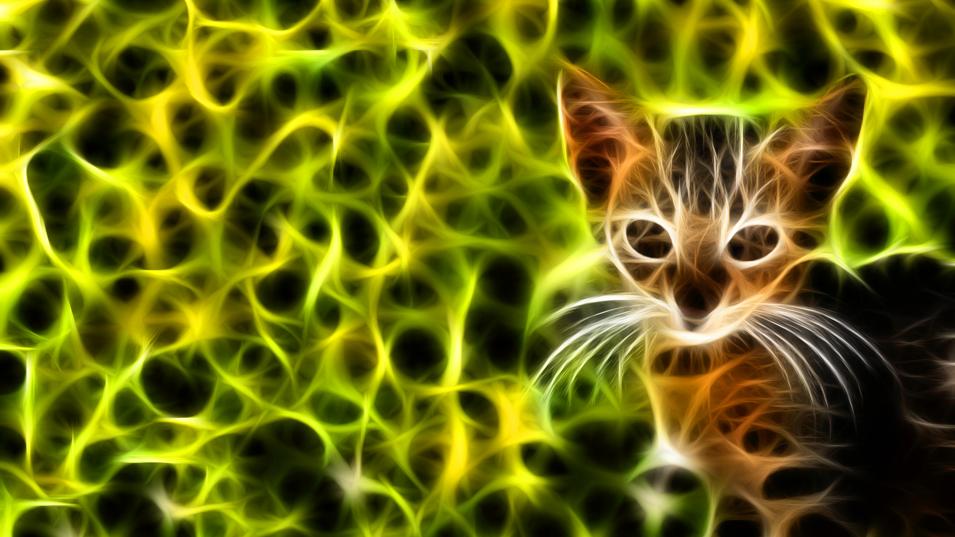 , kittens, feline, cats, fractalius, green, fractal