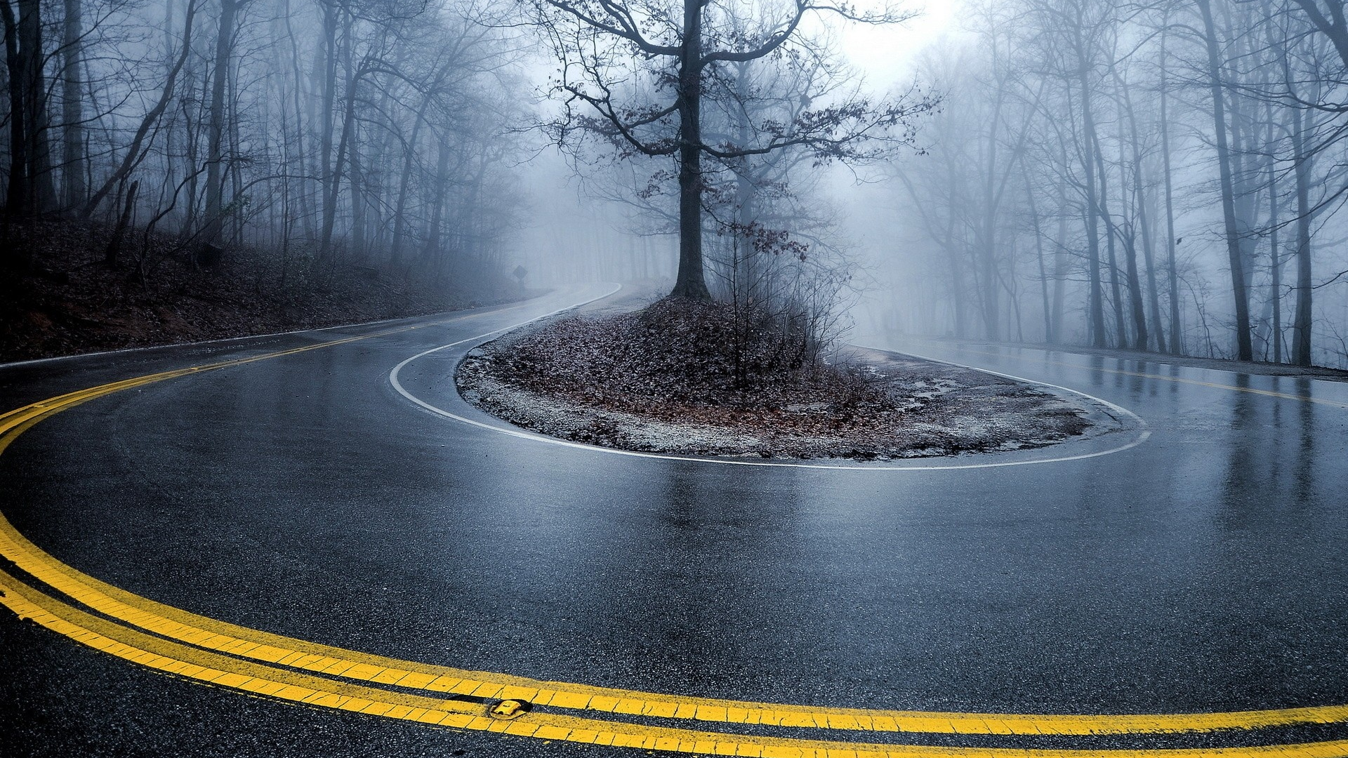 turn, roads, mist, , roadside