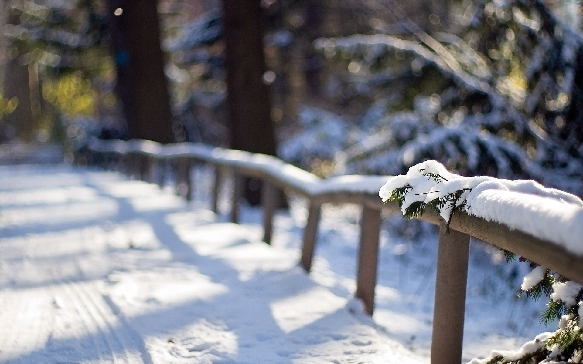 fences, , snow, path