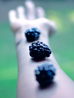 arms, ягоды, blackberries, ежевика, hands, berries, глубина резкости, оружие, руки, фрукты, fruits, depth of field